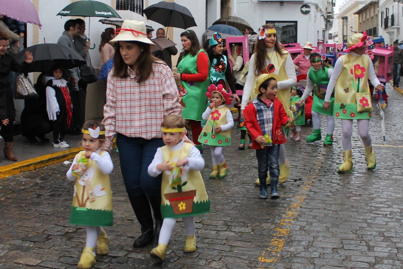 Desfile de Carnaval 2014 Jerez de los Caballeros